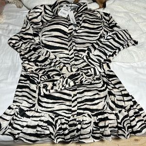 Zara Animal Print Dress